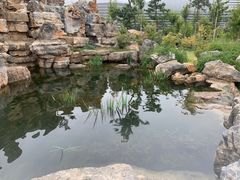 -郑州植物园
