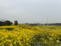 -三圣花乡旅游区