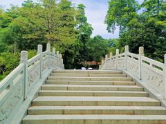 -广州市帽峰山景区