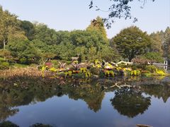 -杭州植物园