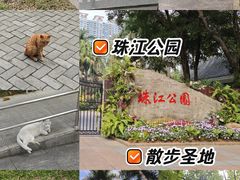 -广州珠江公园