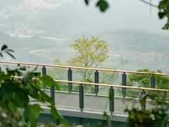 -黄埔油麻山森林公园