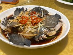 -煲来饱去冷水鱼