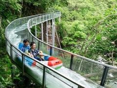 -龙湾潭国家森林公园