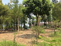 -歌斐颂巧克力小镇