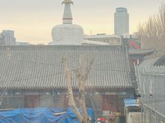 -西塔老太太泥炉烤肉(沈阳店)