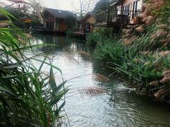 -杭州开元森泊度假乐园