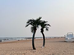 -巧克力渔家.小船海鲜家常菜(万平口店)