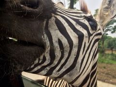 iphone_upload_pic-常州武进九洲喜来登酒店