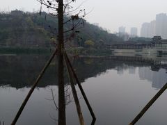 -重庆彩云湖湿地公园