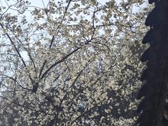 -西安曲江寒窑遗址公园