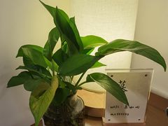 -慕咖啡(宽窄巷子店)