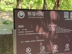 -都江堰中华大熊猫苑