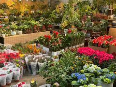 -香炉礁家具市场