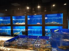 水产区-金时代顺风大酒店(临港百联店)
