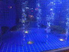 -渔乡米香·剁椒鱼头(四方坪店)