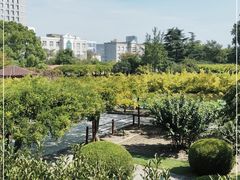 -嘉定紫藤园