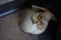 店内环境-老黑造型