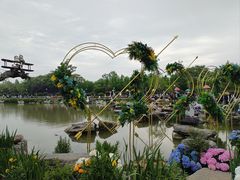 -荷兰花海