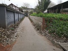 -三圣花乡旅游区