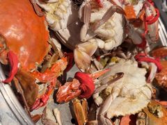 -一方渔歌蒸汽海鲜自助(文化路万达广场店)