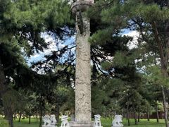 -北陵公园