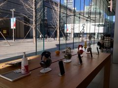 -Apple零售店(华贸购物中心店)