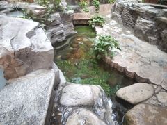 -嘉悦汗蒸时代(曙光路店)