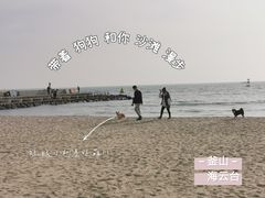 -海云台海滩
