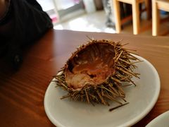 -海胆小馆(东北水饺·春柳店)