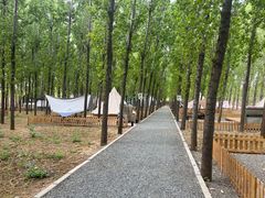 -森林小栈TreeStation露营基地