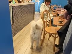 -OZ cafe(南昌路店)