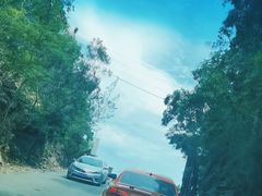 -广东惠东海龟国家级自然保护区