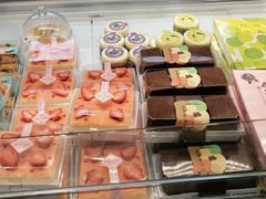 -蒲公英(五里店)
