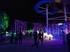 -巨鹏飞梦幻海岸