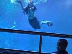 -太平洋海底世界