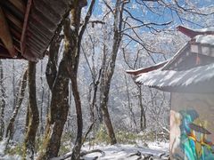 -峨眉山风景名胜区