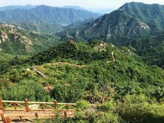 -大岭沟猕猴桃谷风景区
