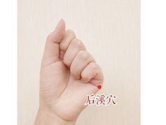 -金鹰国际购物中心(江都店)