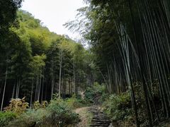 -五泄景区