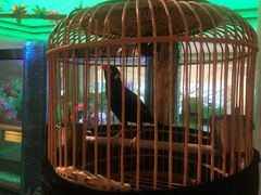 -成都世纪城假日酒店-西楼