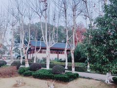 -金银湖国家城市湿地公园