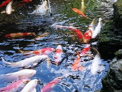 -聚福宝合苑食府(南头镇店)