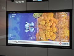 -素清香(解放路店)