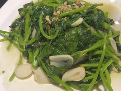 蒜蓉番薯叶-金厨泰国餐厅·全泰籍厨师料理(拱北店)