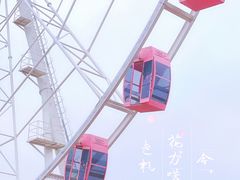-顾村公园