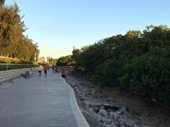 -宝安西湾红树林湿地公园