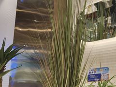 -兰湘子·湘菜小炒(崂山丽达店)