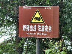 -紫金山山顶公园