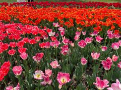 -玄武湖景区-情侣园游乐场